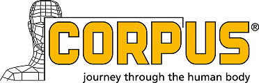 Corpus